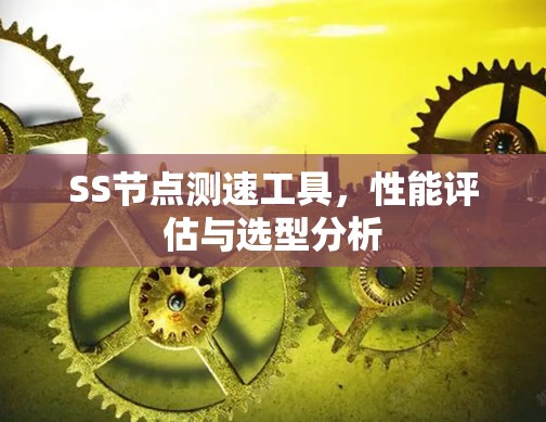 SS节点测速工具,性能评估与选型分析