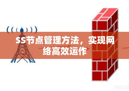 SS节点管理方法,实现网络高效运作