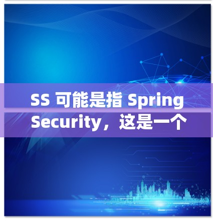 SS 可能是指 Spring Security，这是一个广泛使用的开源安全框架，用于保护Spring应用程序。以下是 Spring Security 的使用方法大全