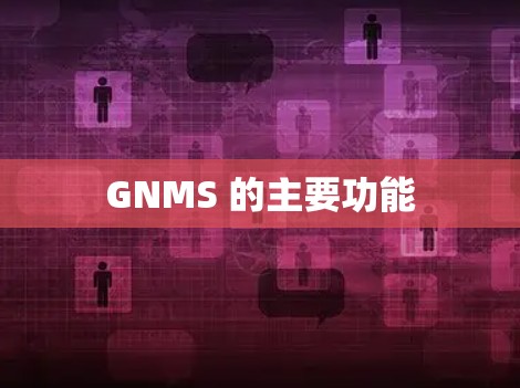 GNMS 的主要功能