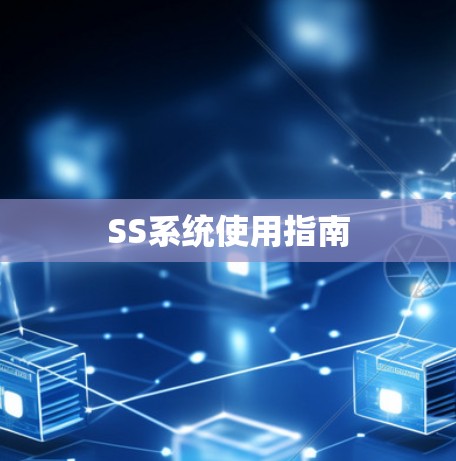 SS系统使用指南