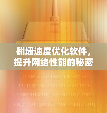 翻墙速度优化软件，提升网络性能的秘密武器