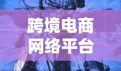 跨境电商网络平台是企业拓展国际市场的重要工具，提供多样化的服务支持，帮助企业应对跨境交易的复杂性。以下是对跨境电商网络平台的详细分析