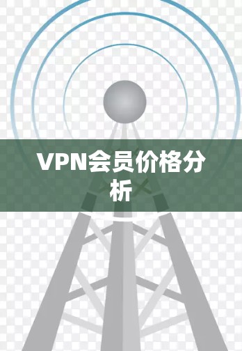 VPN会员价格分析