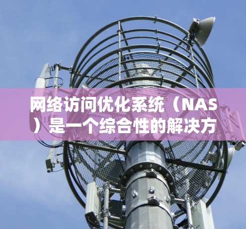 网络访问优化系统(NAS)是一个综合性的解决方案,旨在提升网络性能,改善用户体验。以下是该系统的详细分析和总结