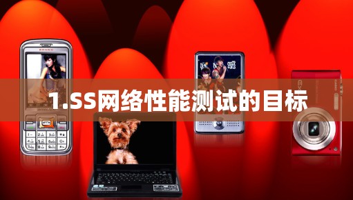 1.SS网络性能测试的目标 1.SS网络性能测试的目标