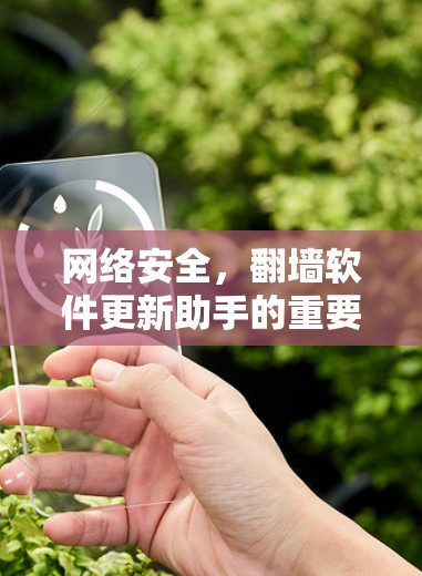 网络安全,翻墙软件更新助手的重要性