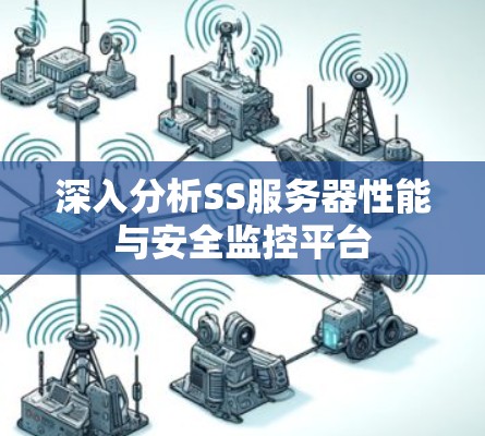 深入分析SS服务器性能与安全监控平台