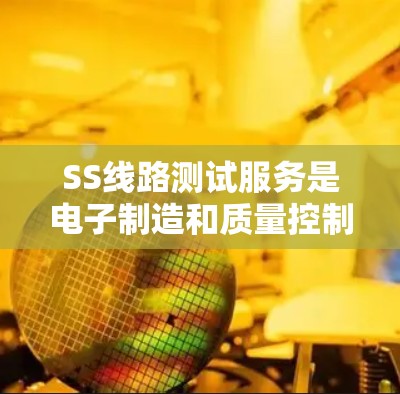 SS线路测试服务是电子制造和质量控制中的一个关键环节，主要用于验证和确保单个模块或组件的完整性和功能性。以下是关于SS线路测试服务的详细解释